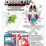 Dissect it - Frog in the lab