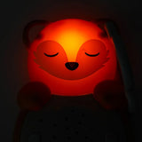 Cloud B - Sweet dreamz on the go portable musical night light - Panda