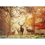 Heye - Puzzle 1000 pieces - Magic Forests