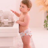 Pocket Cloth Diaper 10-35 lb