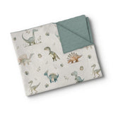 Oops - Minky Blanket - Dinosaur Stories