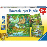 Puzzle - In the jungle 3x49 pieces